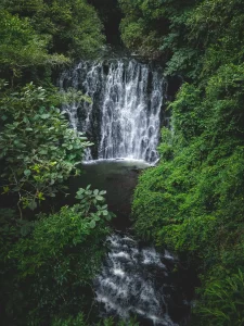 Elephant Falls